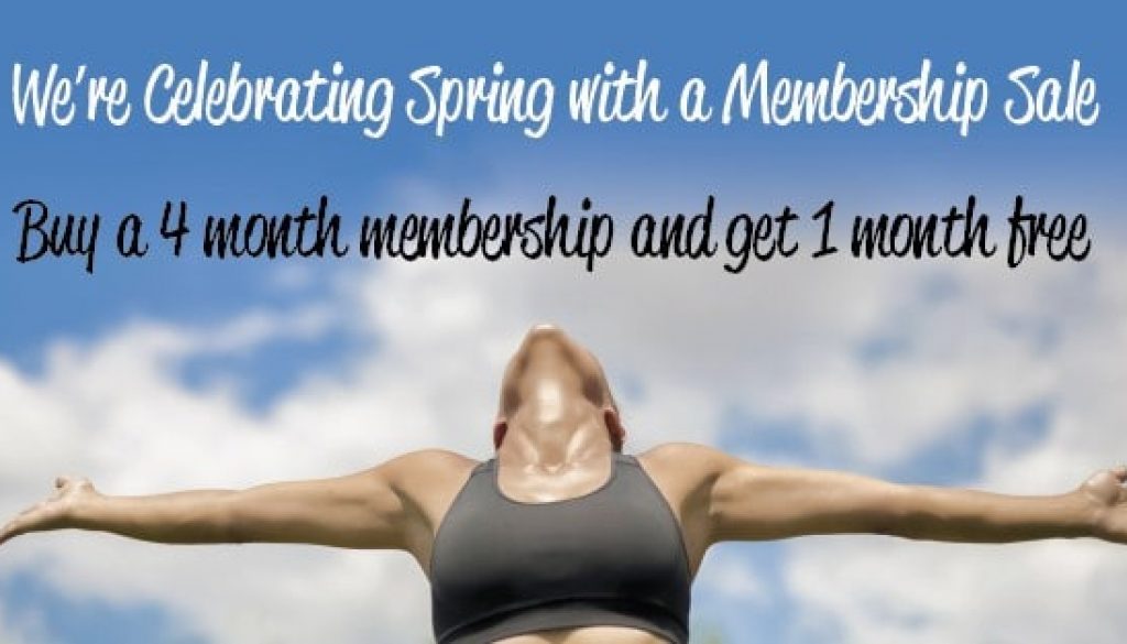 5--month-specia-blogpostl