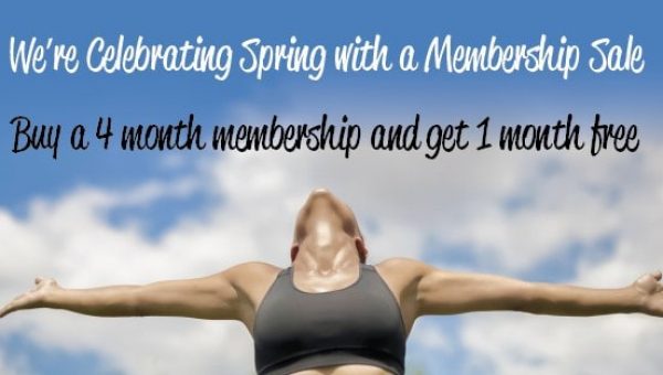 5--month-specia-blogpostl