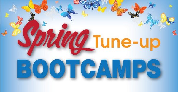 Spring Boot Camnps - Fitness Corner - Southampton