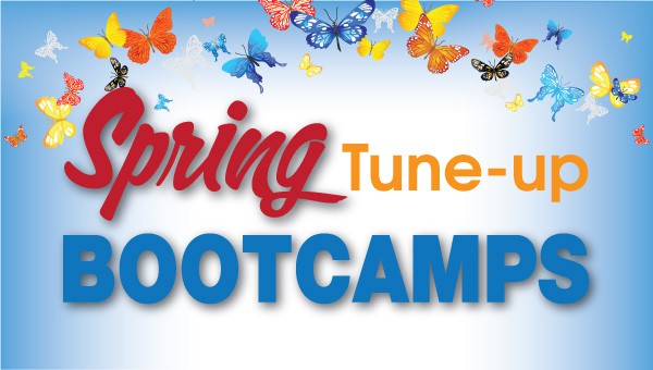 Spring Boot Camnps - Fitness Corner - Southampton